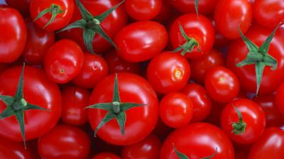 Tomatoes in the tundra: Japanese company to start 2nd phase of giant greenhouse construction in the permafrost